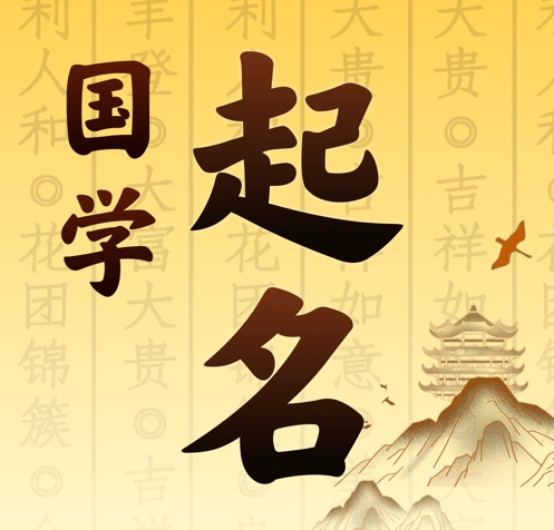 茂南国学起名 人工起名一对一